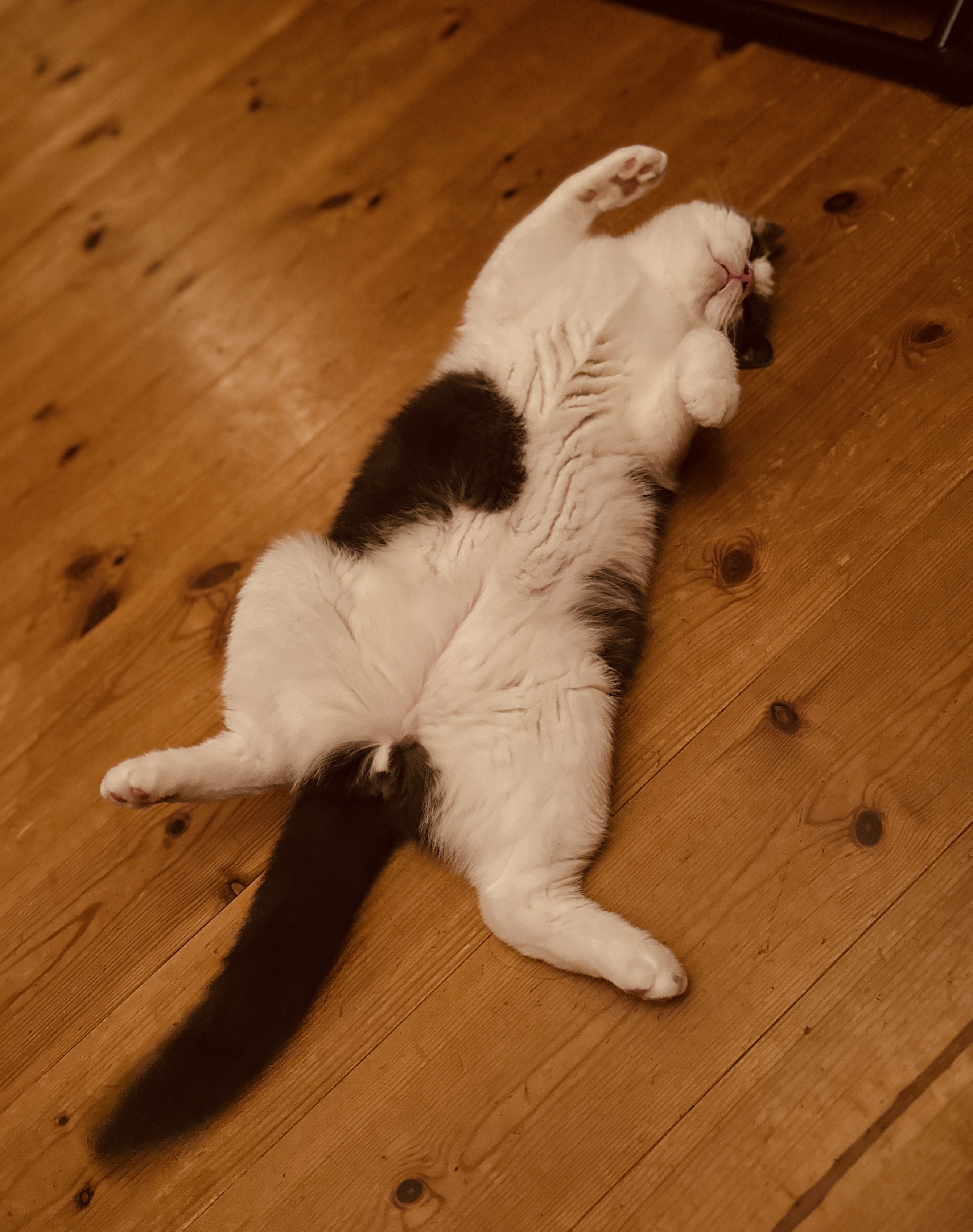 本年もありがとうございました！