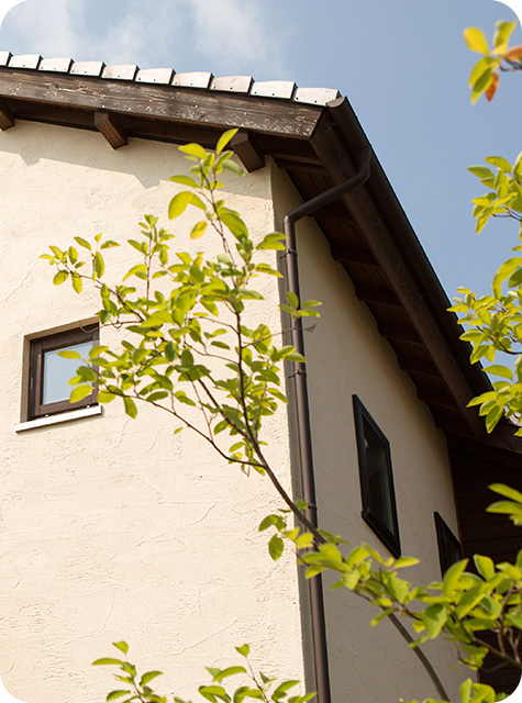 木に葉が茂り、その上に時計が取り付けられている様子を示す画像です。