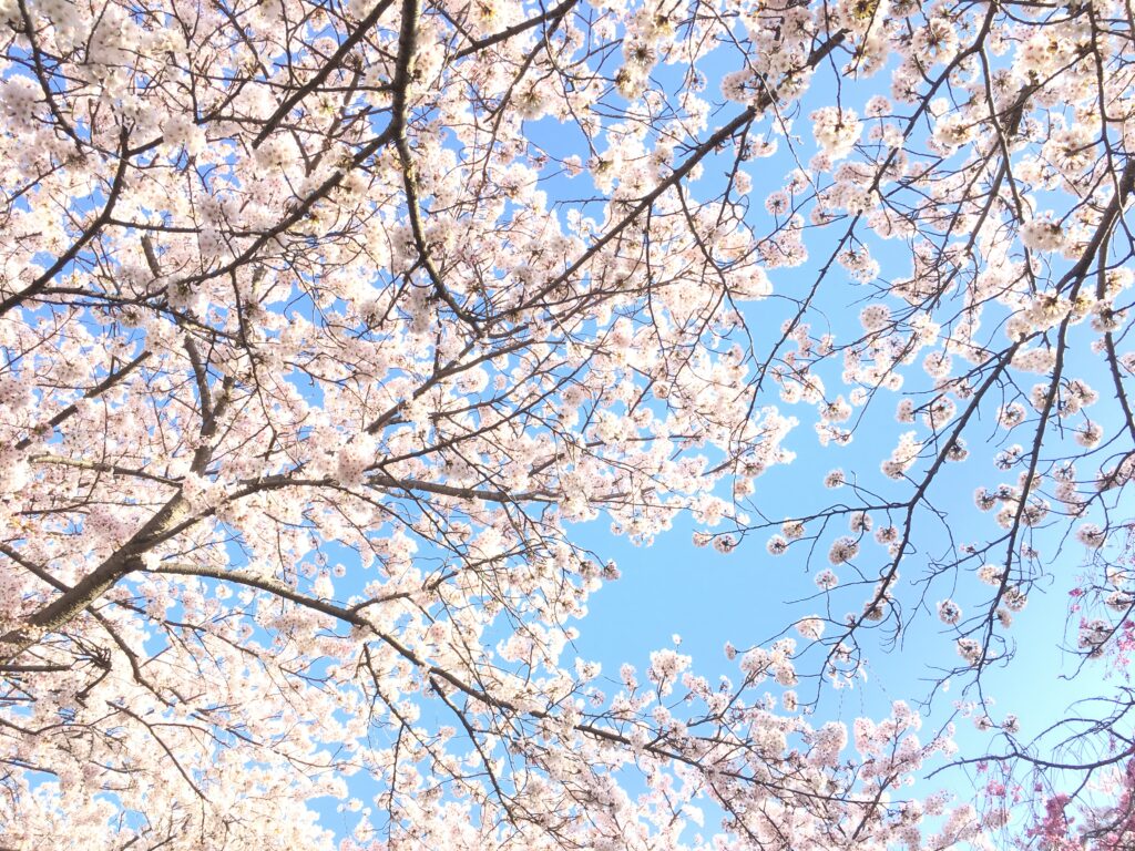 「モノ」にも出会いと別れをめぐらせよう♪